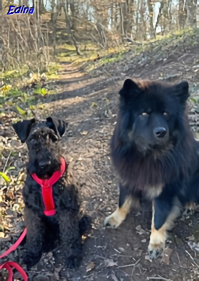 18.3.2025 - Howard und Herkules